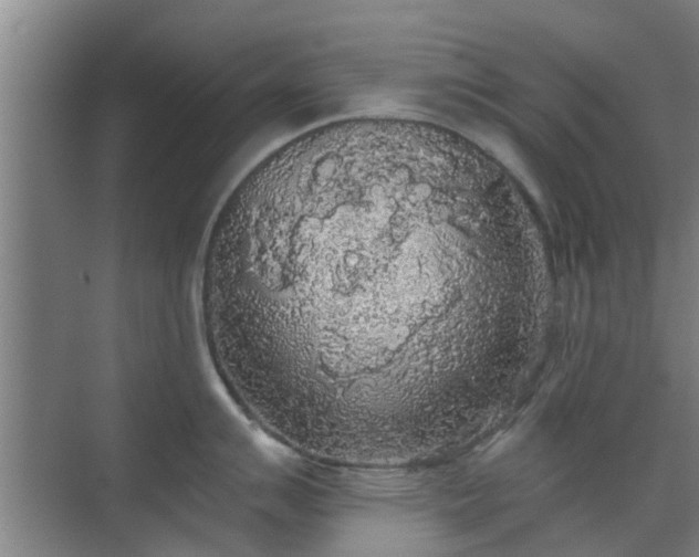 X0000070341007200606161246