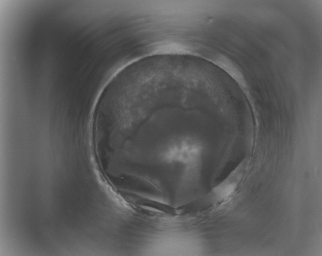 X0000070341008200606161246