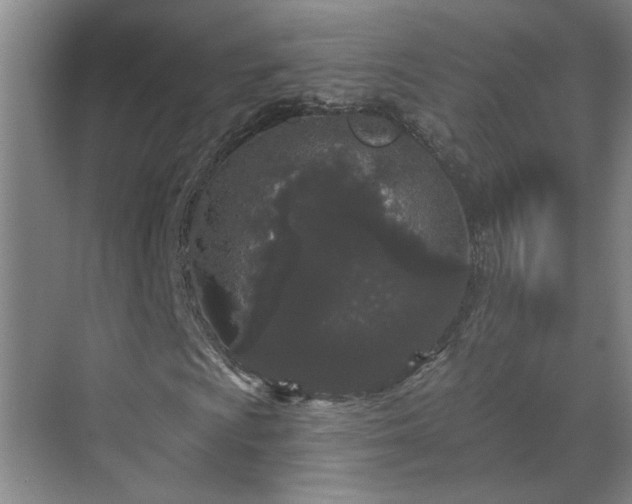 X0000070341009200606161245