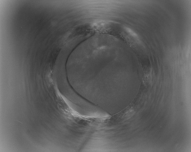 X0000070341010200606161245