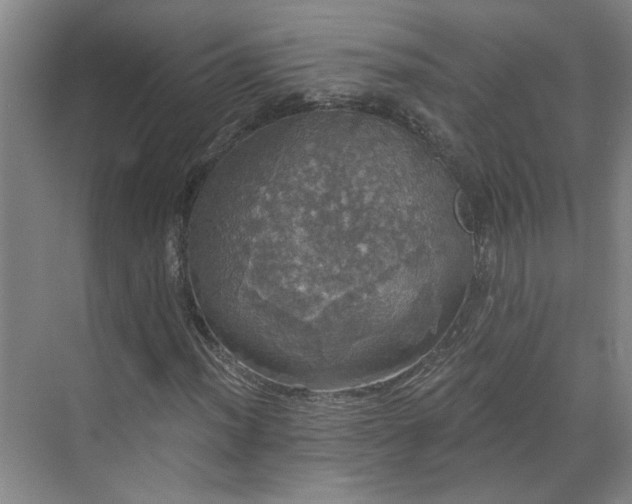 X0000070341012200606161245