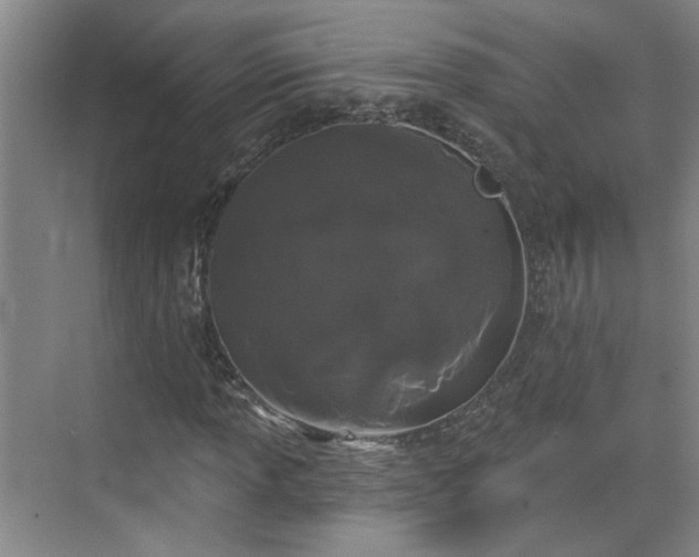 X0000070341013200606161245