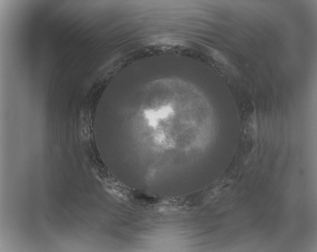 X0000070341014200606161245