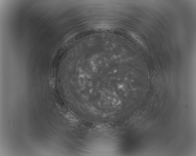 X0000070341015200606161245