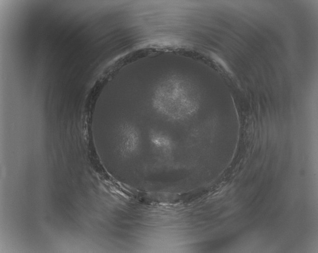 X0000070341016200606161245