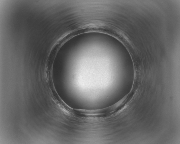 X0000070341018200606161245