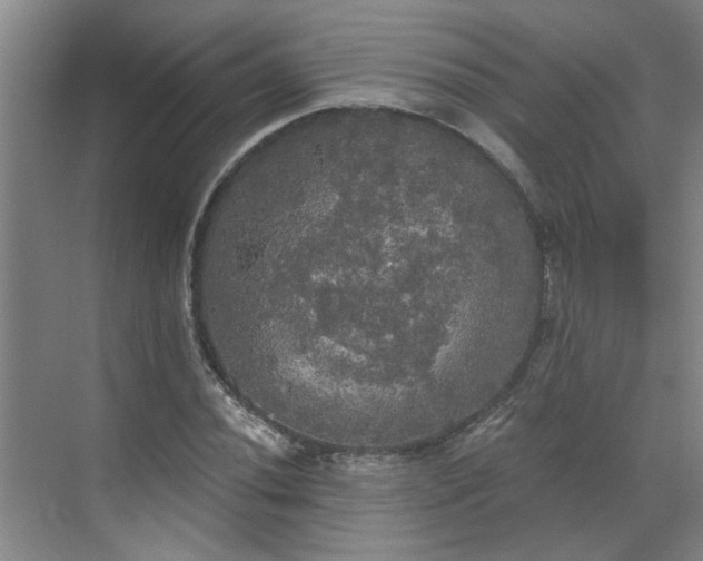 X0000070341020200606161245