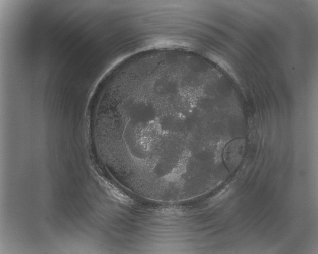 X0000070341021200606161245