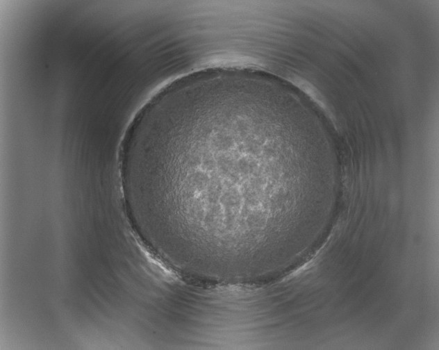 X0000070341022200606161245