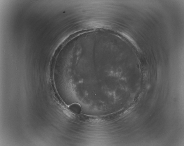 X0000070341023200606161245