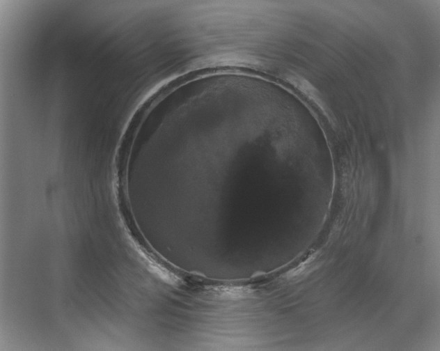 X0000070341024200606161245