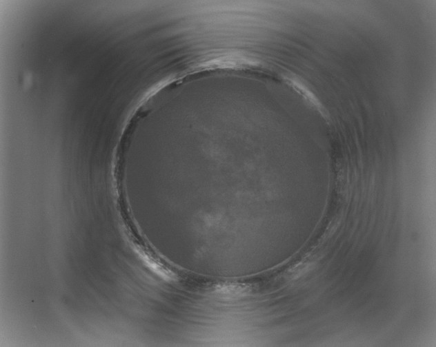 X0000070341026200606161245