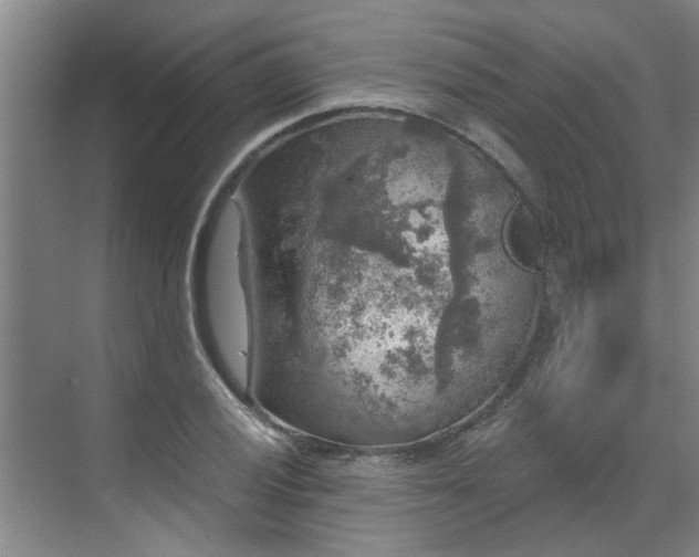 X0000070341028200606161245