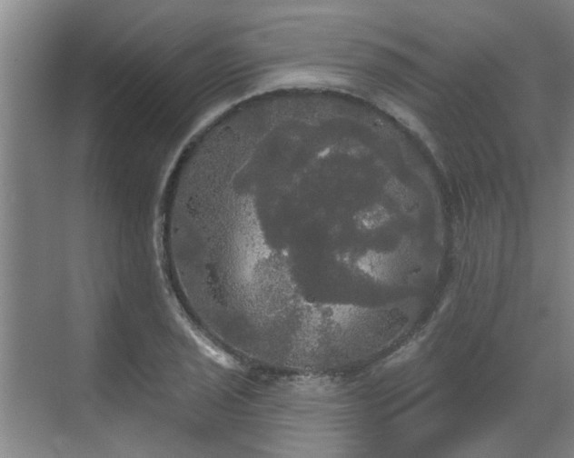 X0000070341029200606161245