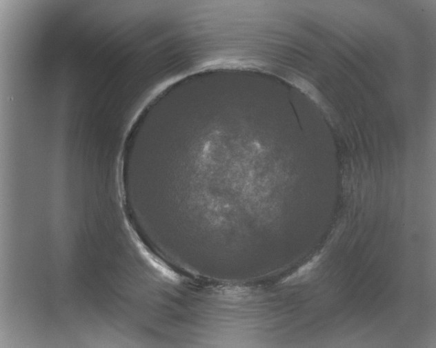 X0000070341030200606161245