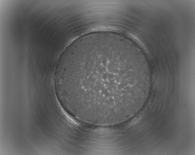 X0000070341033200606161245