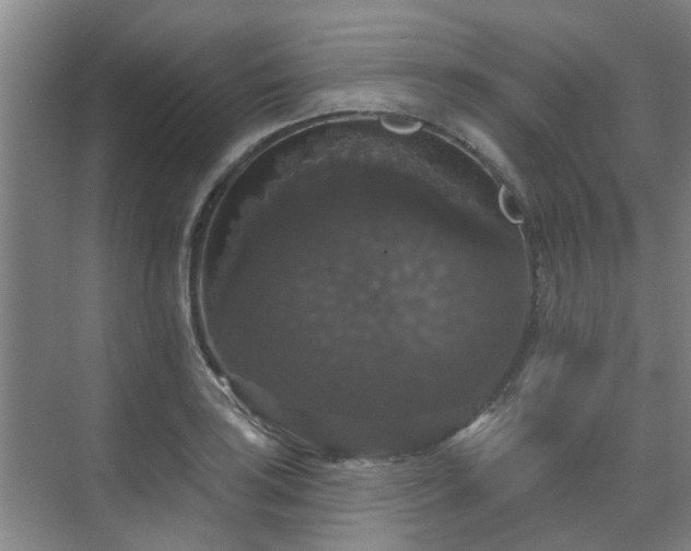 X0000070341035200606161245