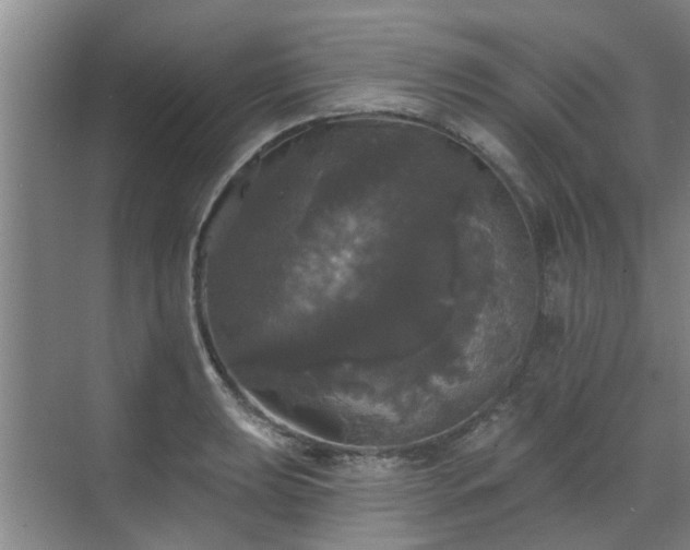 X0000070341039200606161245