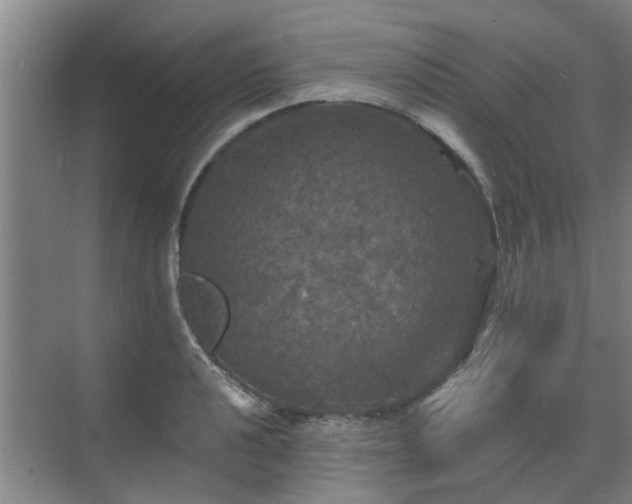 X0000070341040200606161245