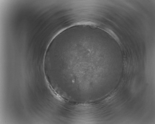 X0000070341044200606161245