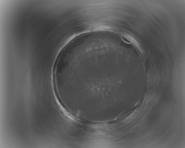 X0000070341047200606161245