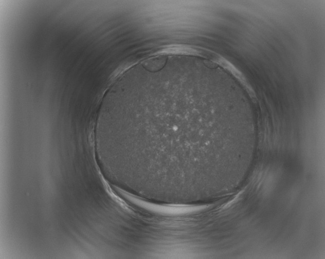 X0000070341049200606161245