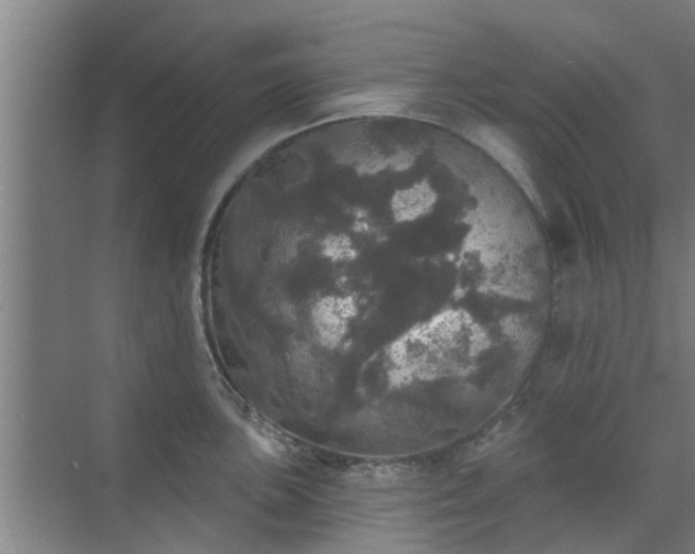 X0000070341051200606161245