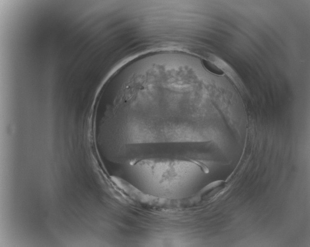 X0000070341052200606161245