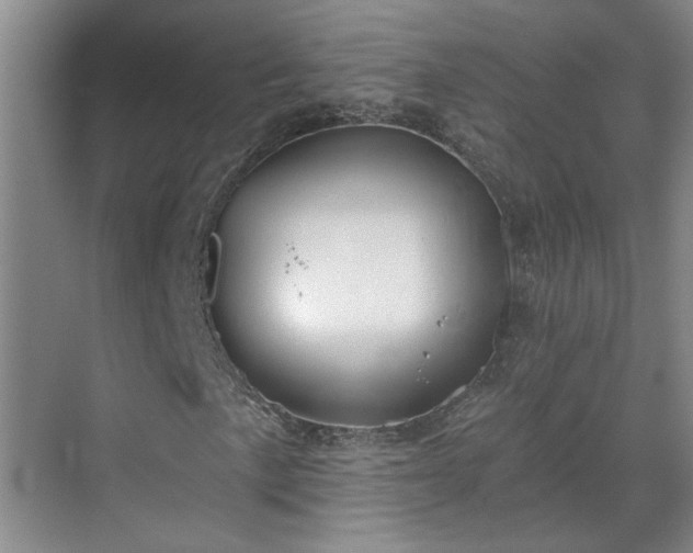 X0000070341057200606161245