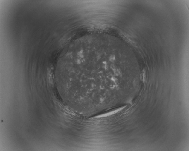 X0000070341059200606161245