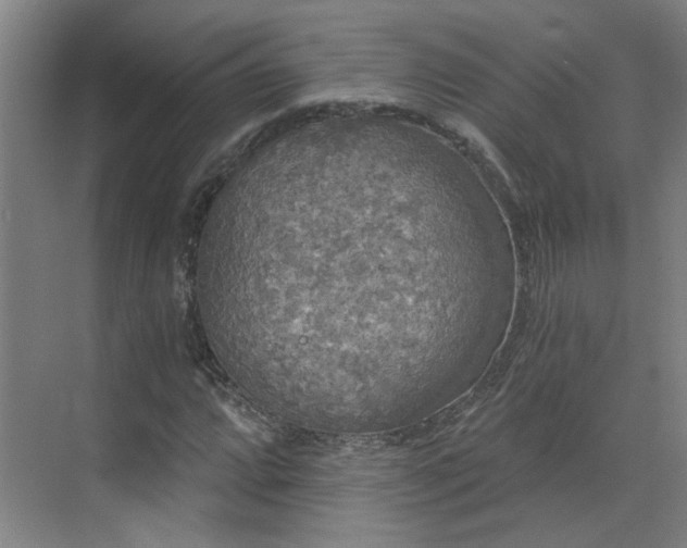 X0000070341064200606161245