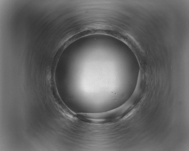 X0000070341065200606161245