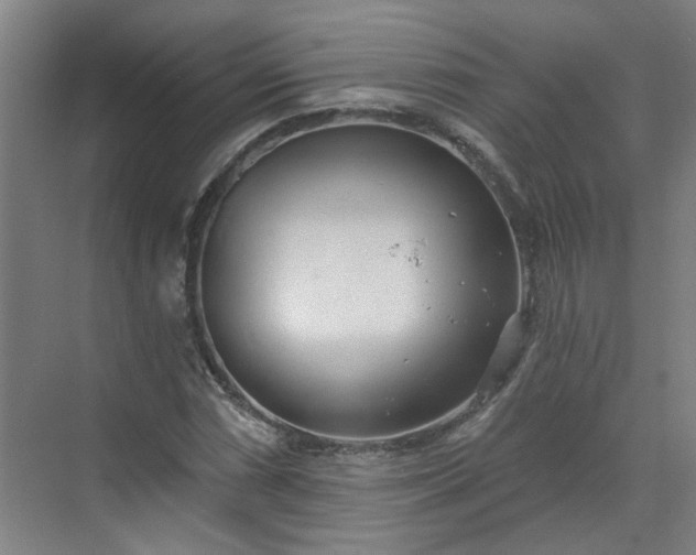 X0000070341066200606161245