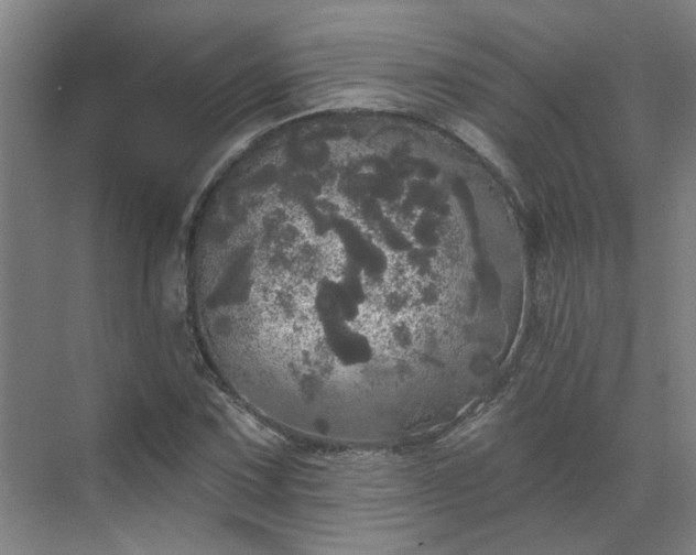 X0000070341067200606161245