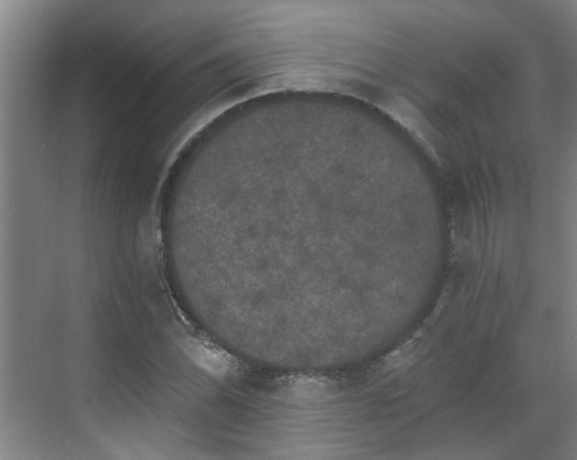 X0000070341070200606161244