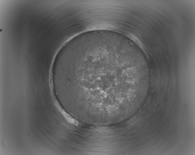 X0000070341072200606161244