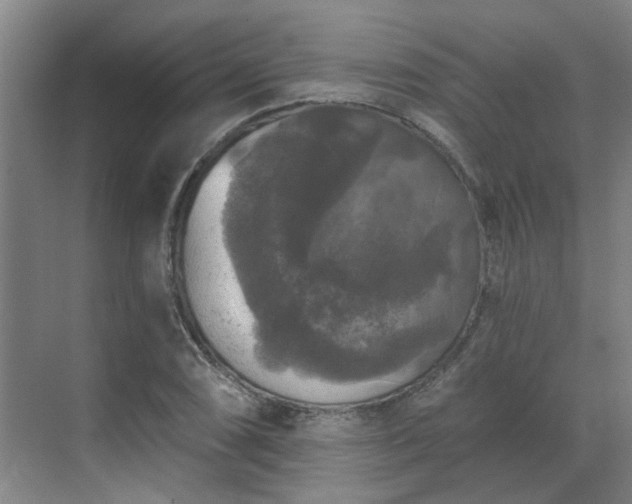 X0000070341074200606161244