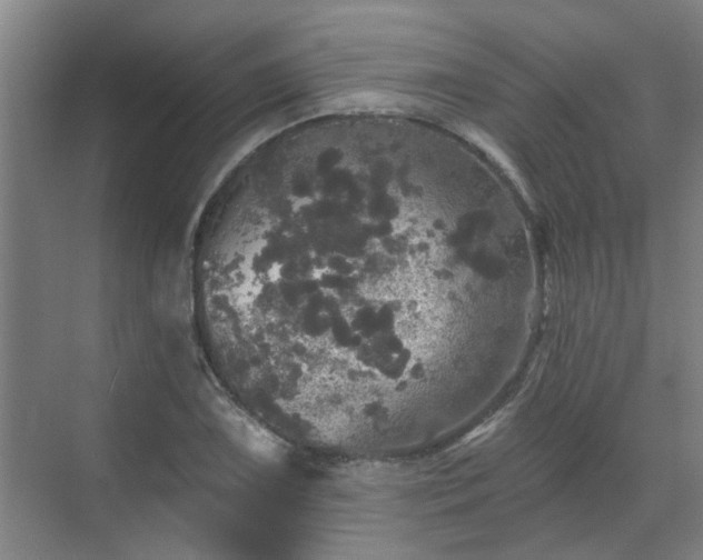 X0000070341075200606161244