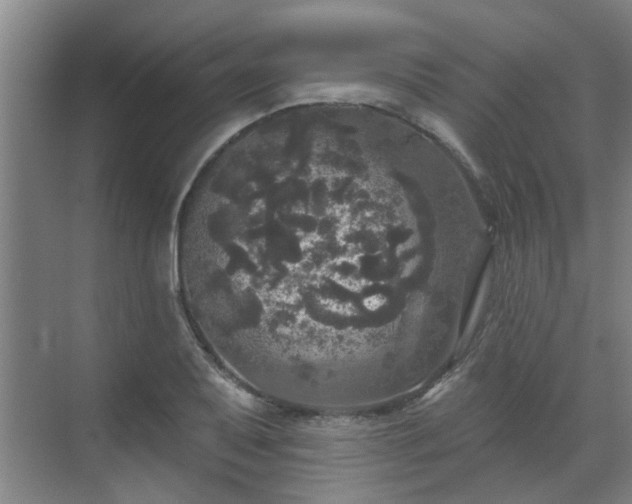 X0000070341079200606161244