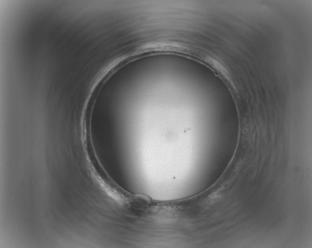 X0000070341082200606161244