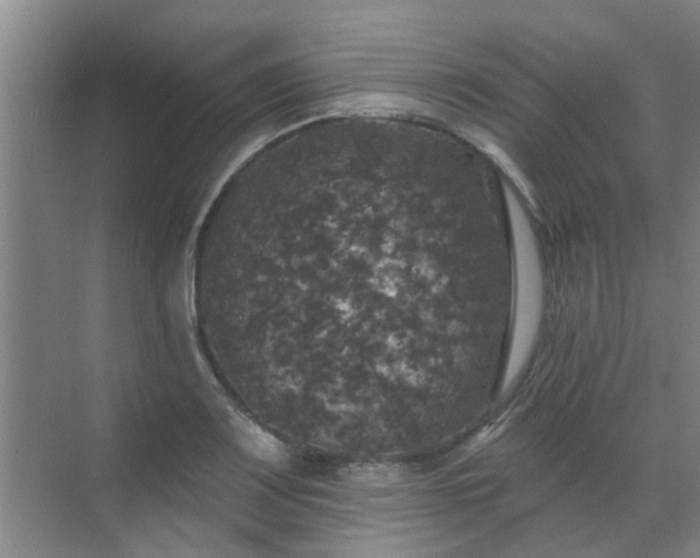 X0000070341083200606161244