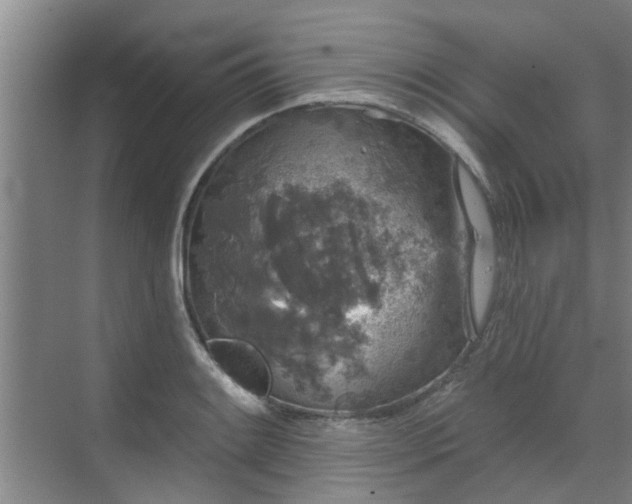 X0000070341084200606161244