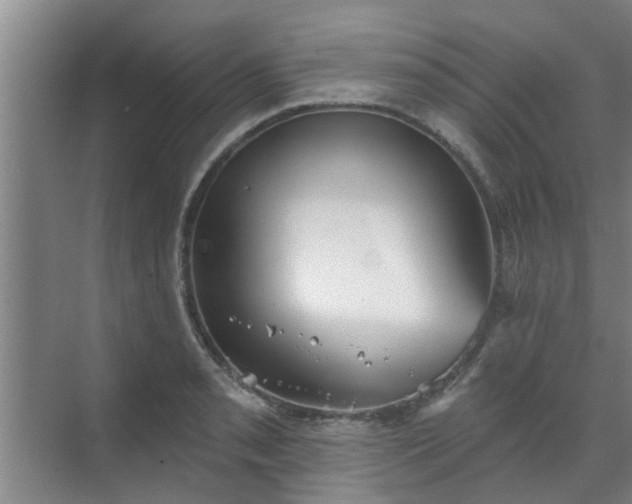 X0000070341085200606161244