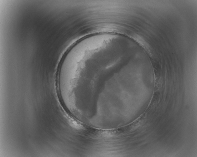 X0000070341086200606161244