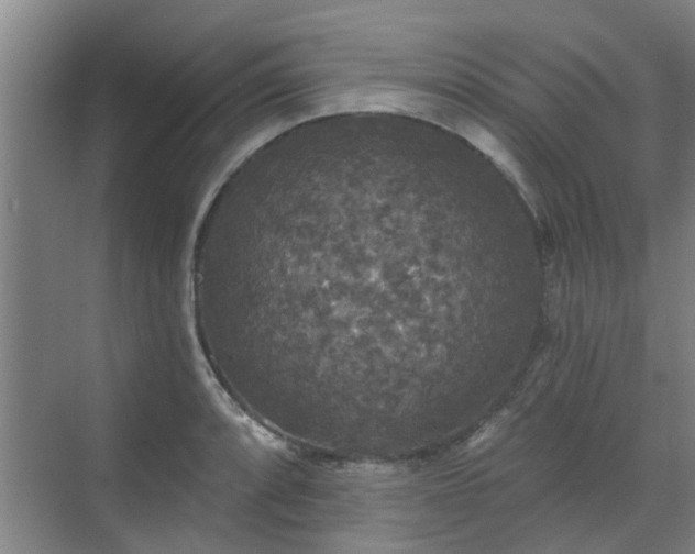 X0000070341088200606161244