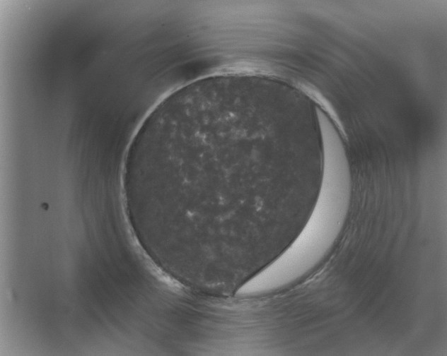 X0000070341091200606161244