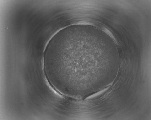 X0000070341092200606161244