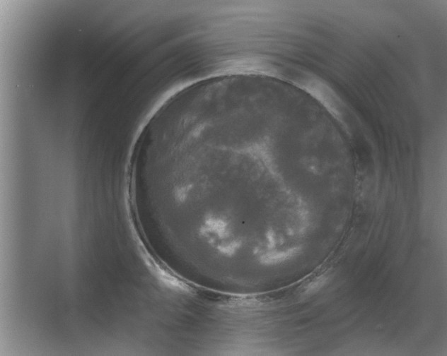 X0000070341094200606161244