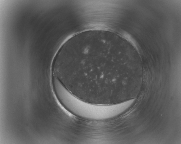 X0000070341095200606161244