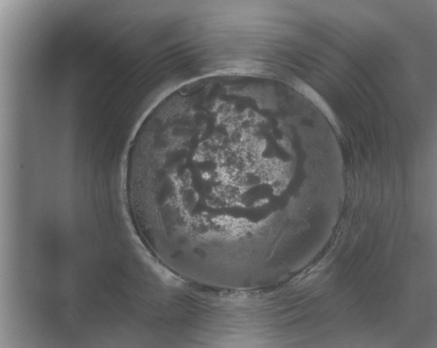 X0000070341099200606161244